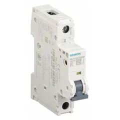This 1-pole miniature circuit breaker features a C-Curve trip characteristic and is UL489 listed for DIN rail mounting. Rated 1.6A at 240V AC (14kA interrupting capacity) and 60V DC, it uses screw clamp terminals. Suitable for overcurrent protection in branch circuits, control panels, and equipment requiring AC or DC power distribution.
