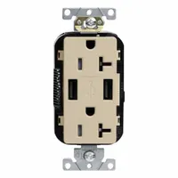 USB Receptacle: Duplex, 5-20R, Ivory, 125V AC, 20 A (MPN M58AA-I)