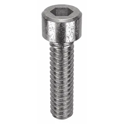 FOREVERBOLT Socket Head Cap Screw: #10-24 Thread Size, 3/4 in Lg, Std, NL-19, Stainless Steel - Inch System Standard Socket Head Cap Screws