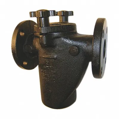MUELLER STEAM SPECIALTY Basket Strainer: Cast Iron, 0.125 in Screen Size, Single, NPT - Cast Iron Basket Strainers