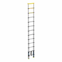 Aluminum telescoping extension ladder with a 13 ft reach and 300 lb load capacity. Yellow finish. Weighs 34 lb. Used for accessing elevated work areas in construction, maintenance, and industrial settings
