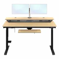 VERSADESK Electric Sit-Stand Desk: Maple, Wood, 48 in Overall Wd, 30 in Overall Dp, Laminate/Steel (MPN VT1374830-03-04)