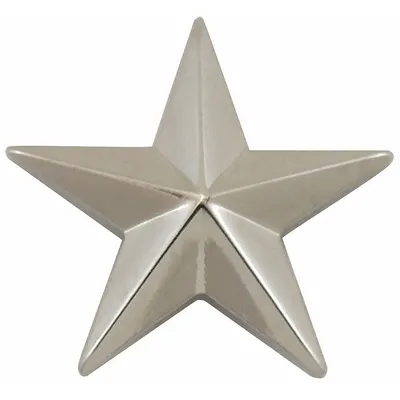 HEROS PRIDE Metal Rank Insignia: Star, 5/8 in, Silver, Metal, Clutch Pin, Rank Insignia - Metallic Insignia