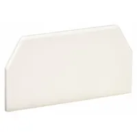PANDUIT End Cap: T-45, 2 1/2 in Wd, 1 1/4 in Ht, Plastic, Off White (MPN T45ECIW)