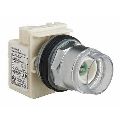 SCHNEIDER Flush Push Button: 30 mm Mounting Size, Metallic - Illuminated Flush-Mount Push-Button Operators