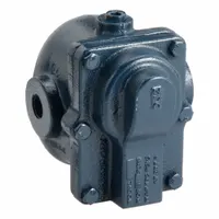 Steam Trap: Cast Iron, 1/2 in FNPT, 1,100 lb/hr, 175 psi Max., 377°F Max., In-line (MPN 175AI2)