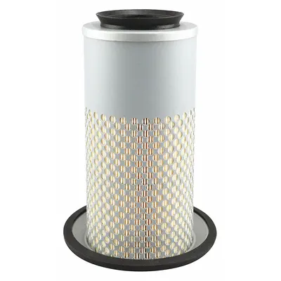 BALDWIN FILTERS PA3833 Round/Oval Engine Air Filter - Round/Oval Engine Air Filters