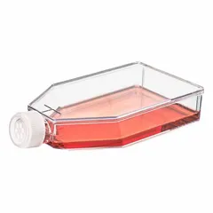 Plastic Cell Culture Flask, Polystyrene, 600 mL, Sterile, Graduated, with Closure
