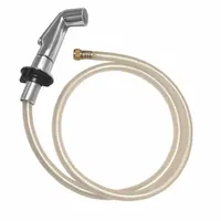 APPROVED VENDOR Kitchen Sprayer: Plastic, Chrome, 1/4" Connection Size, NPT (MPN 30174)
