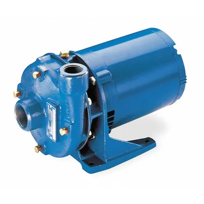GOULDS WATER TECHNOLOGY Centrifugal Pump: 1/2 hp, 208-230/460V AC, 60 ft Max Head, 1 1/4 in - 1/4 to 3/4 HP Straight Centrifugal Pumps