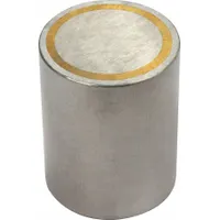 Alnico Magnet: Encased, 0.5 in Thick, 3/8 in Outside Dia, Round (MPN A375)