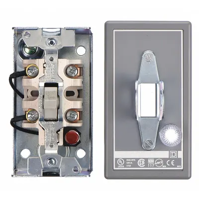 SQUARE D Manual Motor Switch: 2 Poles, 30 A, 1 NEMA Rating - Enclosed Manual Motor Switches