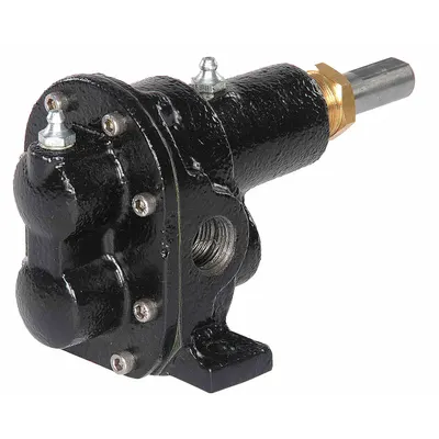 Dayton Rotary Gear Pump Head: Magnetic Drive, Cast Iron Body, 3/4" FNPT, 20.5 gpm - Pedestal-Mount Rotary Gear Pumps