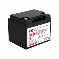 ZEUS BATTERY PRODUCTS Rechargeable Batteries: 12.8V DC, 50 Ah Capacity, 7.76 in Ht, 6.5 in Wd, M6 (MPN PCLFP50-12.8SP)