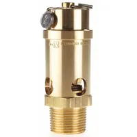 CONRADER Safety Valve: Soft Seat, 1 in (M)NPT Inlet (In.), 100 psi Preset Setting (PSI), Brass (MPN SRV765-1-100)