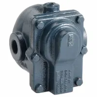 Steam Trap: Cast Iron, 3/4 in FNPT, 1,800 lb/hr, 75 psi Max., 377°F Max., In-line (MPN 75AI3)