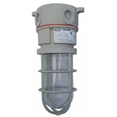 This bulb-dependent jelly jar light fixture is rated for Class I, Division 2, Groups A, B, C, D hazardous locations. It operates at 120/277V AC, has a T2B temperature code, and is ceiling mounted. Suitable for use in areas where flammable gases or vapors may be present.