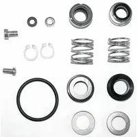 DAYTON Shaft Seal Kit: Mfr Part # 42X495
