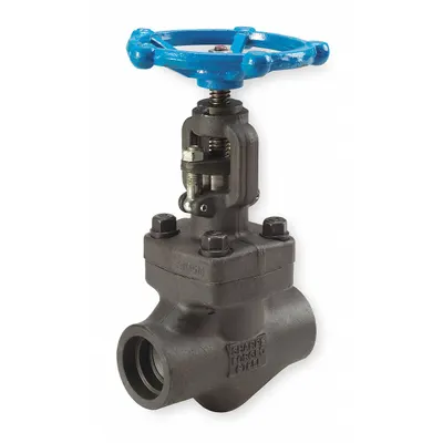 SHARPE Globe Valve: For Steam Media, Carbon Steel, Z-Body, 2 in Pipe Size, Socket x Socket - Carbon Steel Straight-Body General-Service Globe Valves