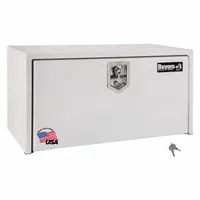 BUYERS PRODUCTS Underbody: Underbody Truck Box, Single Drop-Down Door Door, 24 in Overall Dp, White (MPN 1704420)