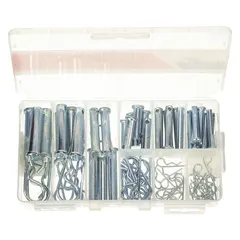 Pin Assortment,74 pcs,9 Sizes: Inch, Steel, Grade 1010/Grade 1018, Plain (MPN WWG-DISP-CLP-BP074)