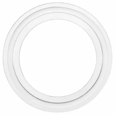 OEM Sanitary Gasket: Tri-Clamp - Tri-Clamp Cleanroom Sanitary Gaskets