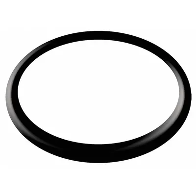 JB INDUSTRIES O-Ring, Trap-for Intake: PR-315, Trap O-Ring - Pneumatics