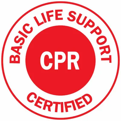 BRADY Hard Hat Label: Basic Life Support Certified CPR, 2 in Dia, English, Non-Reflective - Safety