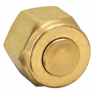 PARKER Compression Fitting Cap: 1/2 in OD Size, Compression, Brass - Double-Ferrule Brass Compression Fittings