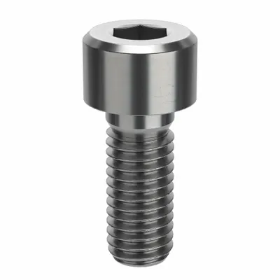 FOREVERBOLT Socket Head Cap Screw: M8x1.25 Thread Size, 20 mm Lg, Std, NL-19, Stainless Steel - Metric System Standard Socket Head Cap Screws