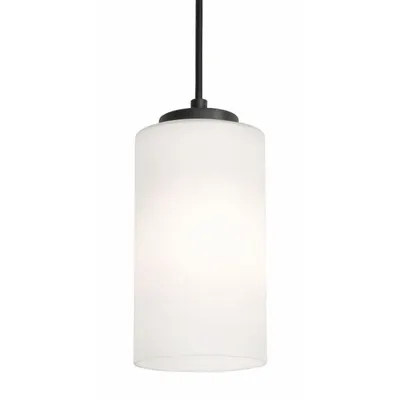 AFX INC. Decorative Pendant: 4 in Dia, 6 1/2 in Ht, Black, 60 W, 120V AC - Leo Pendant Lights