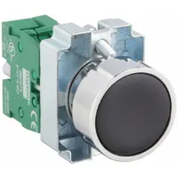 DAYTON Flush Push Button Operator: Non-Illuminated, Flush Profile, Metallic, 22 mm, 1NO