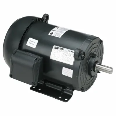 Dayton General Purpose Motor: Rigid Base Mount, Totally Enclosed Fan Cooled, 3 hp - Rigid Base 3-Phase General Purpose AC Motors
