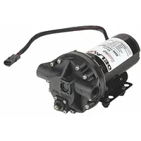 DELAVAN AG PUMPS Diaphragm Pump: Electric, 5840-111C-SB-HS, Polypropylene, Santoprene, 5 Diaphragms