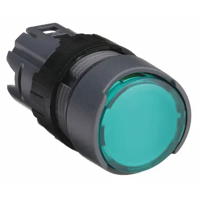 SCHNEIDER Flush Push Button: Green, 16 mm Mounting Size, Non-Metallic - Illuminated Flush-Mount Push-Button Operators