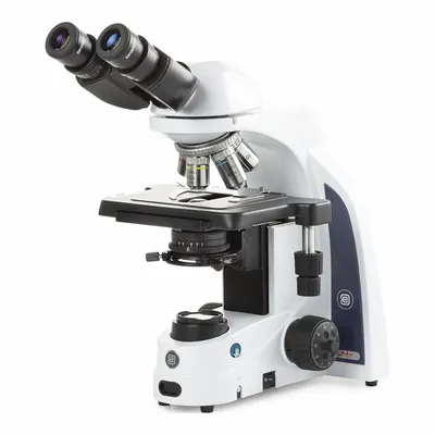 GLOBE SCIENTIFIC Microscope: Compound, Binocular, 40X to 1000X, 22 mm Optical Field of View - Compound Microscopes