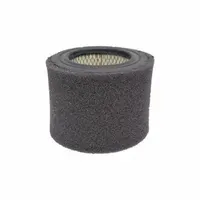 GAST Jar Less Intake Filter: AC433
