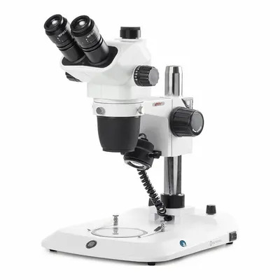 GLOBE SCIENTIFIC Microscope: Stereo, Binocular, 6.5X to 55X, 35.4 mm Optical Field of View - Stereo Microscopes
