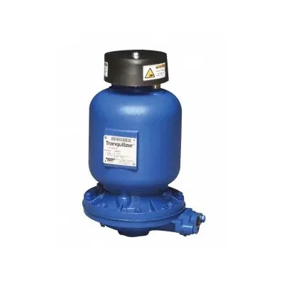 VERSAMATIC Tranquilizer: Auto Dampener, Stainless Steel, Buna-N, 1 in NPT Inlet - Pulsation Dampeners