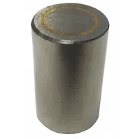 Alnico Magnet: Encased, 0.62 in Thick, 3/8 in Outside Dia (MPN 1292-T-10)