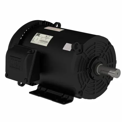 WEG General Purpose Motor: Rigid Base Mount, Totally Enclosed Air-Over, 15 hp - Rigid Base 3-Phase General Purpose AC Motors