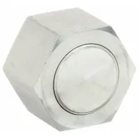 Hydraulic Hose Cap: Steel, 1 1/4 in Fitting Size, Female, 3,600 psi Max. Working Pressure @ 70 F (MPN FF9863-20S)