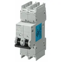 This 2-pole miniature circuit breaker features a C-Curve trip characteristic and is UL489 listed for branch circuit protection. Rated 16A at 240V AC or 60V DC with a 14kA interrupting capacity, it uses screw clamp terminals for secure wiring. Suitable for overcurrent protection in industrial control panels, HVAC equipment, and DC power systems