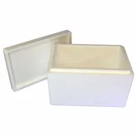Insulated Shipping Container: 17 in x 10 in x 10 1/2 in, 1.5 in Insert Wall Thick, Cardboard, White (MPN 53XM44)