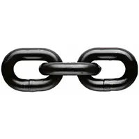 PEWAG Chain: 3/8 in Trade Size, 80 Chain Grade, Alloy Steel, 7,100 lb Working Load Limit, Straight (MPN SA10/5)