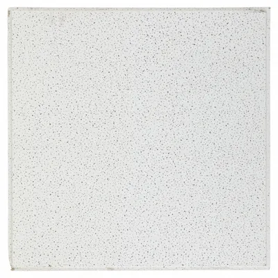 ARMSTRONG Fine Fissured Ceiling Tile 1717, 24x24 in, Angled Tegular, 12 PK - High Sound-Absorption & Blocking Tiles for Privacy