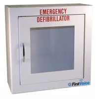 Surface Mounted Cabinet: Surface Mounted Cabinet, Alarm Not Included, Steel, White, 13 in Overall Ht (MPN TS147SM)