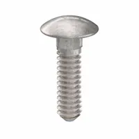 Carriage Bolt: Square Neck, #10-24 Thread Size, 3/4 in lg, Stainless Steel, 18-8, Plain, 50 PK (MPN ZBOLT-4954)
