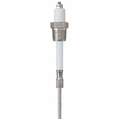 LUMENITE Liquid Level Probe: 2 Probes, NPT, 3/4 in Process Connection Size - NPT Connection Probes