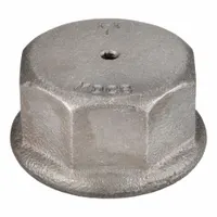 CAMPBELL Drive Cap: Drive Cap, Cast Iron, 2 in Outside Dia (MPN MDC8)